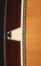Collings-D2H-0810-t