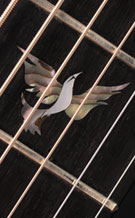 Wren-0411-main-t