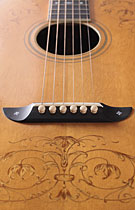 washburn-t_0710