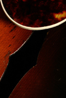 zenith_thumb_1108.jpg