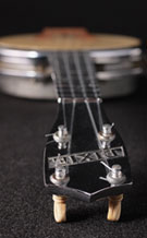 Dixie-0711-main-t
