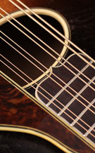 Elchuk-1110-main-t