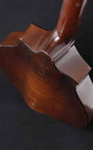 VegaMandocello-1010-main-t